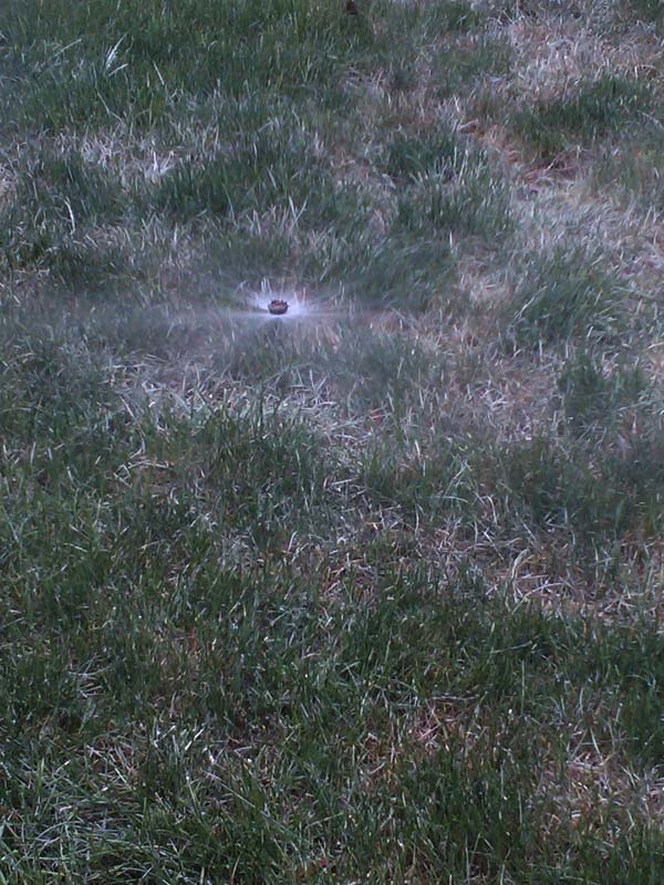 Green Valley Ranch Sprinklers